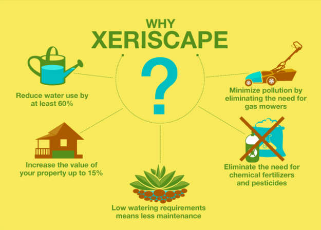 why-xeriscape