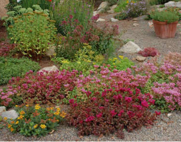 xeriscaping-small